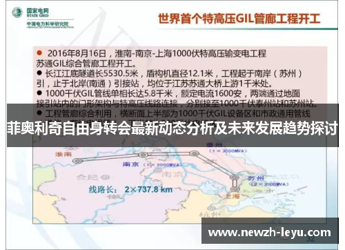 菲奥利奇自由身转会最新动态分析及未来发展趋势探讨 菲奥利奇自由身转会最新动态分析及未来发展趋势探讨