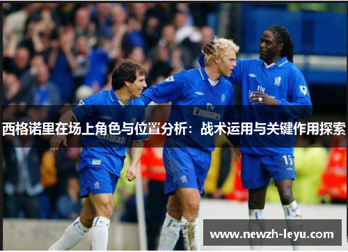 西格诺里在场上角色与位置分析：战术运用与关键作用探索