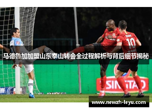 马德鲁加加盟山东泰山转会全过程解析与背后细节揭秘