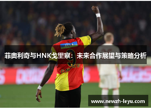 菲奥利奇与HNK戈里察：未来合作展望与策略分析