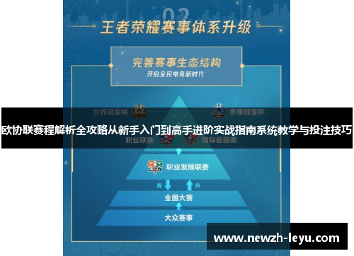 欧协联赛程解析全攻略从新手入门到高手进阶实战指南系统教学与投注技巧 欧协联赛程解析全攻略从新手入门到高手进阶实战指南系统教学与投注技巧